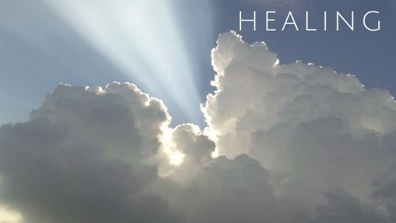 Bird Song Healing Harp Music For Meditation