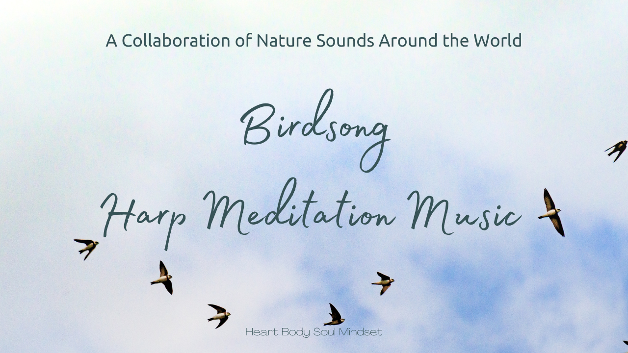 Harp meditation music Birdsong A Collaboration of Nature Sounds Around the World